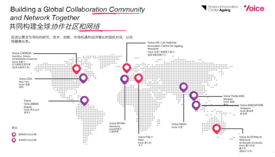 1736846952659433.png 911cde9d47e59fd62e7b307178bd766.png